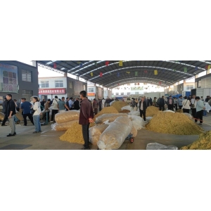 平邑金银花药材产地价格(2023.09.01)