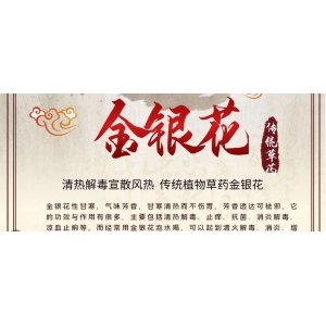 9月4日国家级万良人参市场最新价格