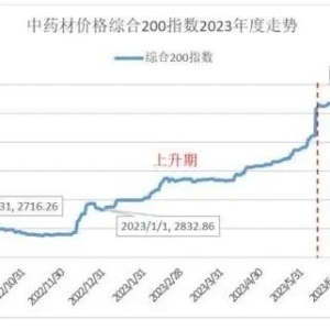 2023年8月综合200指数解读：淡旺季交替将至 平稳着陆趋