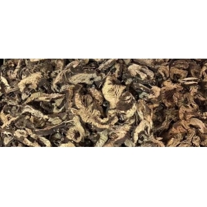 升麻行情上升的神秘力量