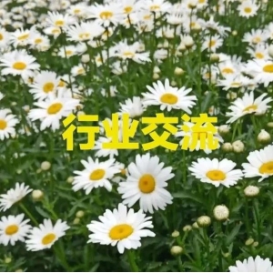 全国首批联采中药饮片9月8日落地日照