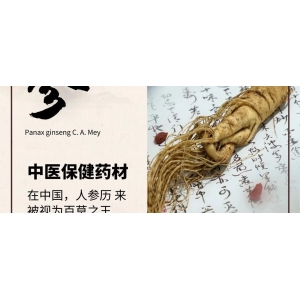 9月8日国家级万良人参市场最新价格