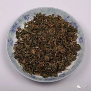 产地信息及时快讯（10.3）