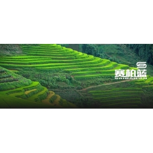 地方集采，6类规则解析（附品种名单）