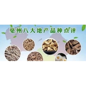 亳州八大地产品种点评