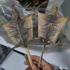 亳州市场快讯（10.8）