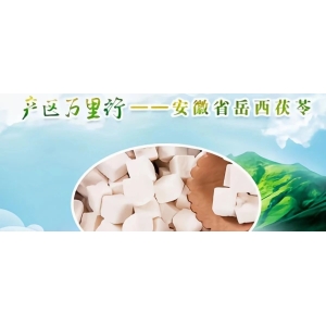 产区万里行—安徽省岳西茯苓