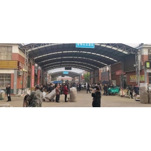 平邑金银花药材产地价格(2023.10.12)