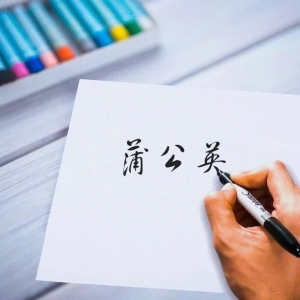 NMPA：3个品种继续给予2级保护