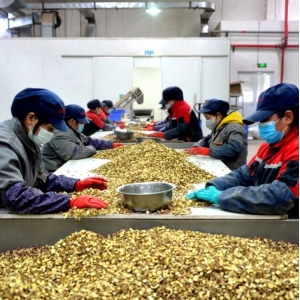 2023年中国中药行业分析