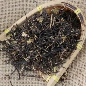 产地信息及时快讯（10.21）