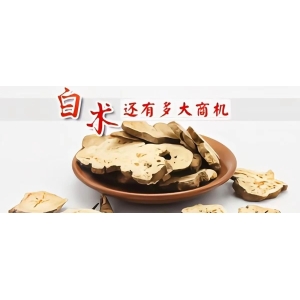 白术还有多大商机
