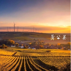 CDE：2个脂质体药物技术指导原则发布