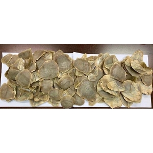穿山甲可以用于商业生产销售吗？