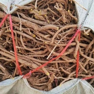 晋商言药|山西道地药材生地、黄芩、丹参行情点评