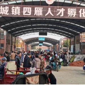 平邑山楂药材产地价格(2023.10.23）
