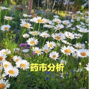 高鹏说药材：周评：药市交易不活跃，总指平缓下滑，整体行情平淡
