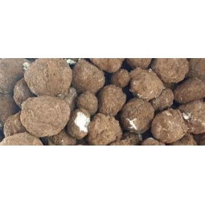 产新追踪：茯苓产新诸多因素影响行情走向