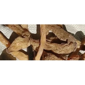 药财有道|黄精需求猛增产能提升，中药材产业为乡村振兴助力！