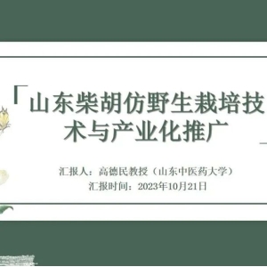 【 特邀报告】山东柴胡仿野生栽培技术与产业化推广（中原药谷•河南嵩县首届柴胡产业