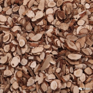 产地信息及时快讯（10.26）