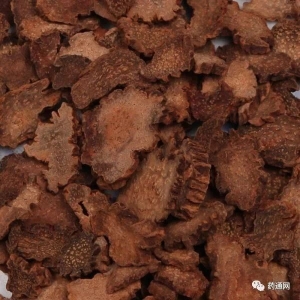 产地信息及时快讯（10.28）