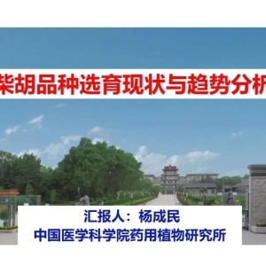 【 特邀报告】柴胡品种选育现状与趋势分析（中原药谷•河南嵩县首届柴胡产业发展大会