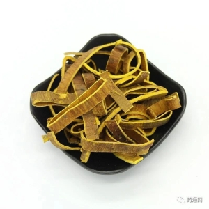 产地信息及时快讯（10.31）