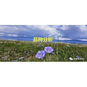 高鹏说药材：产新品种增加，高位品种陆续回落，市场交易仍不活跃