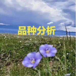 高鹏说药材：行情分析|党参、射干、桔梗、薄荷、黄芩、金银花
