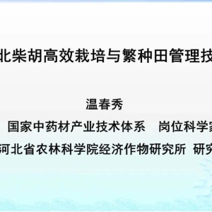 【 特邀报告】河北柴胡高效栽培与繁种田管理技术（中原药谷•河南嵩县首届柴胡产业发