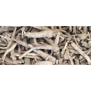 药财有道|产新季的西洋参多维度分析