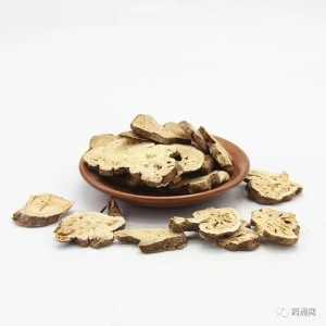 亳州市场快讯（11.2）