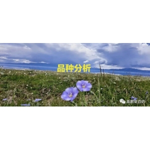 高鹏说药材：行情分析|三七、锁阳、薏苡仁、远志、巴戟天、狗脊