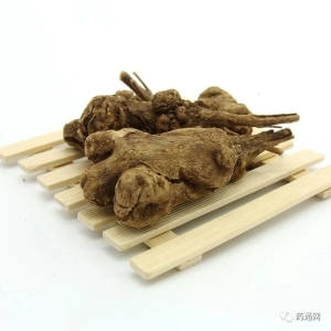 亳州市场快讯（11.8）