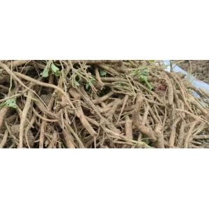 理性接受牛膝产新价落的趋势