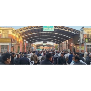 平邑金银花药材产地价格(2023.11.07)