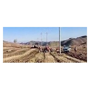 漫天大雪中断内蒙防风产新 行情有转机？