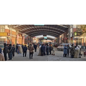 平邑金银花药材产地价格(2023.11.12)