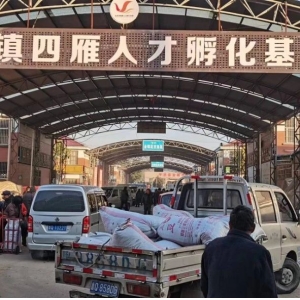 平邑山楂药材产地价格(2023.11.12）