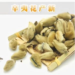 辛夷花产新