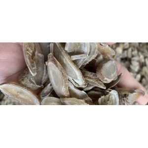 郁金有减产利好 后市需看众商的参与力度