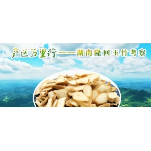 产区万里行--湖南隆回玉竹考察