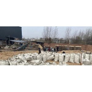 药财有道|产新追踪之桔梗产新面面观