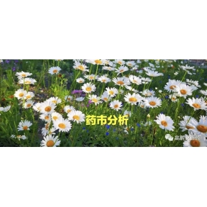 高鹏说药材：总指数缓跌持续，品种跌多升少，药市仍处于下跌态势