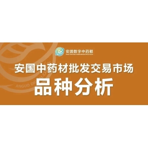 合欢花行情分析