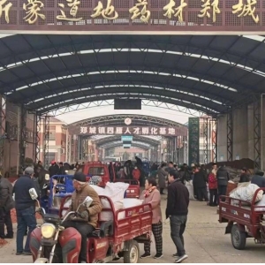 平邑山楂药材产地价格(2023.11.21）