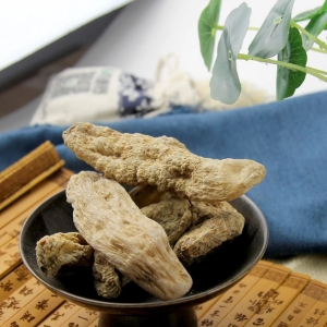 亳州市场快讯（11.23）
