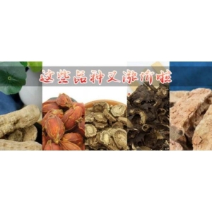 这些品种又涨价啦