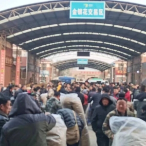 平邑金银花药材产地价格(2023.12.06)